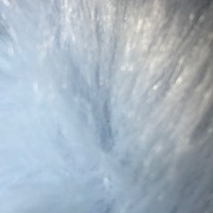 Meet your Posher, Dolly